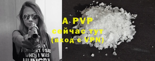 a pvp Аркадак