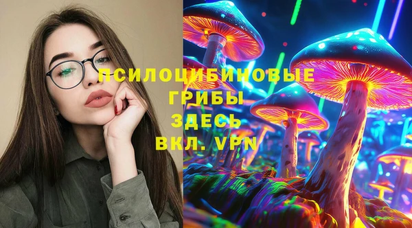 СК Арсеньев