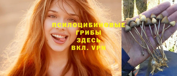 альфа пвп Армянск