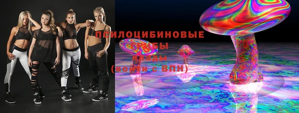 СК Арсеньев